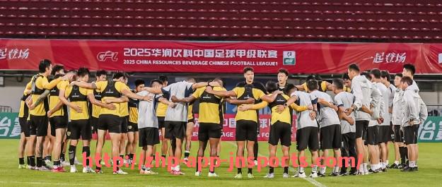 江南体育APP下载-意甲联赛中存在的假球队现象及相关案例分析