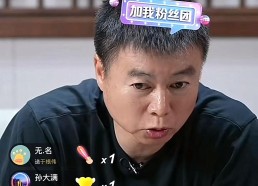 江南体育APP下载-伊布缺席对意甲球队的影响及球队调整
